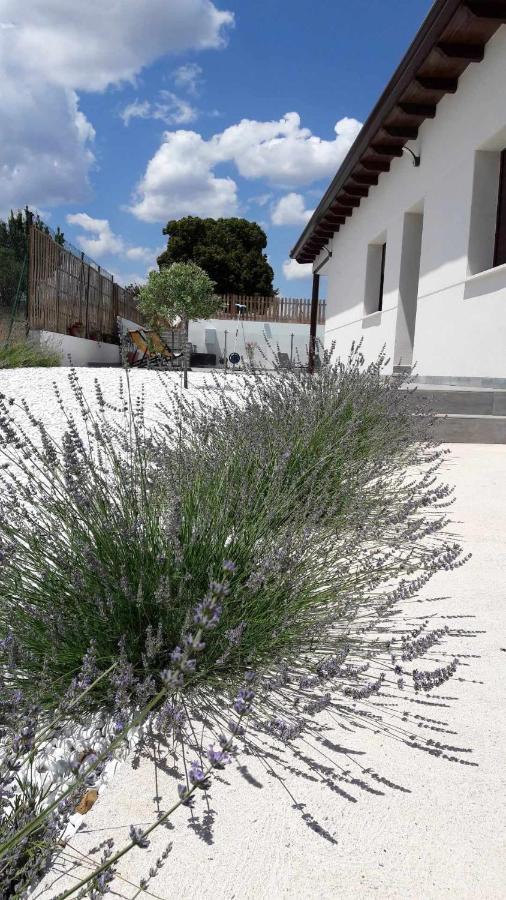 La Perla Casa Rural Sostenible Hiendelaencina Eksteriør billede